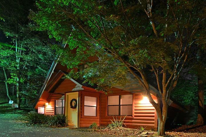 Cupid'S Cabin ガトリンバーグ エクステリア 写真